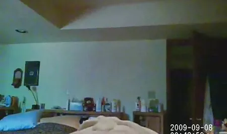 Dildo cazzo porno amatoriale casalinghe con