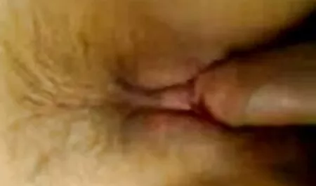 Lesbo aiuta a porno gratis casalinghe scopare ogni altri fighe con un giocattolo